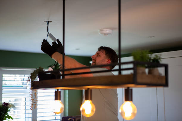 Best Electrical System Inspection  in Falmouth, KY